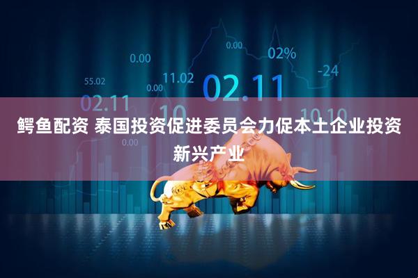 鳄鱼配资 泰国投资促进委员会力促本土企业投资新兴产业